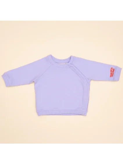 Sweater lila 1 01259e53 f1d7 44bb 8b76 9afae05e67ae.png