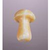 3876 1 herbar gua shroom masazni kamen kalcit