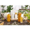 2023 1 hometherapy lush orizzontale